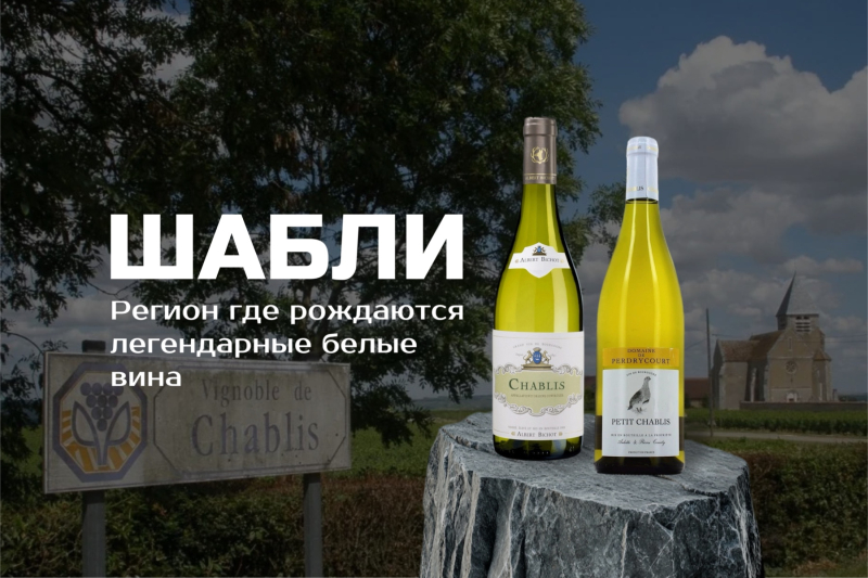 Шабли – регион, где рождается легендарное белое вино